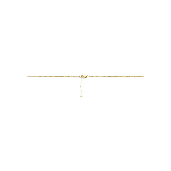 14k Bicolor collier met diamant 0.25ct