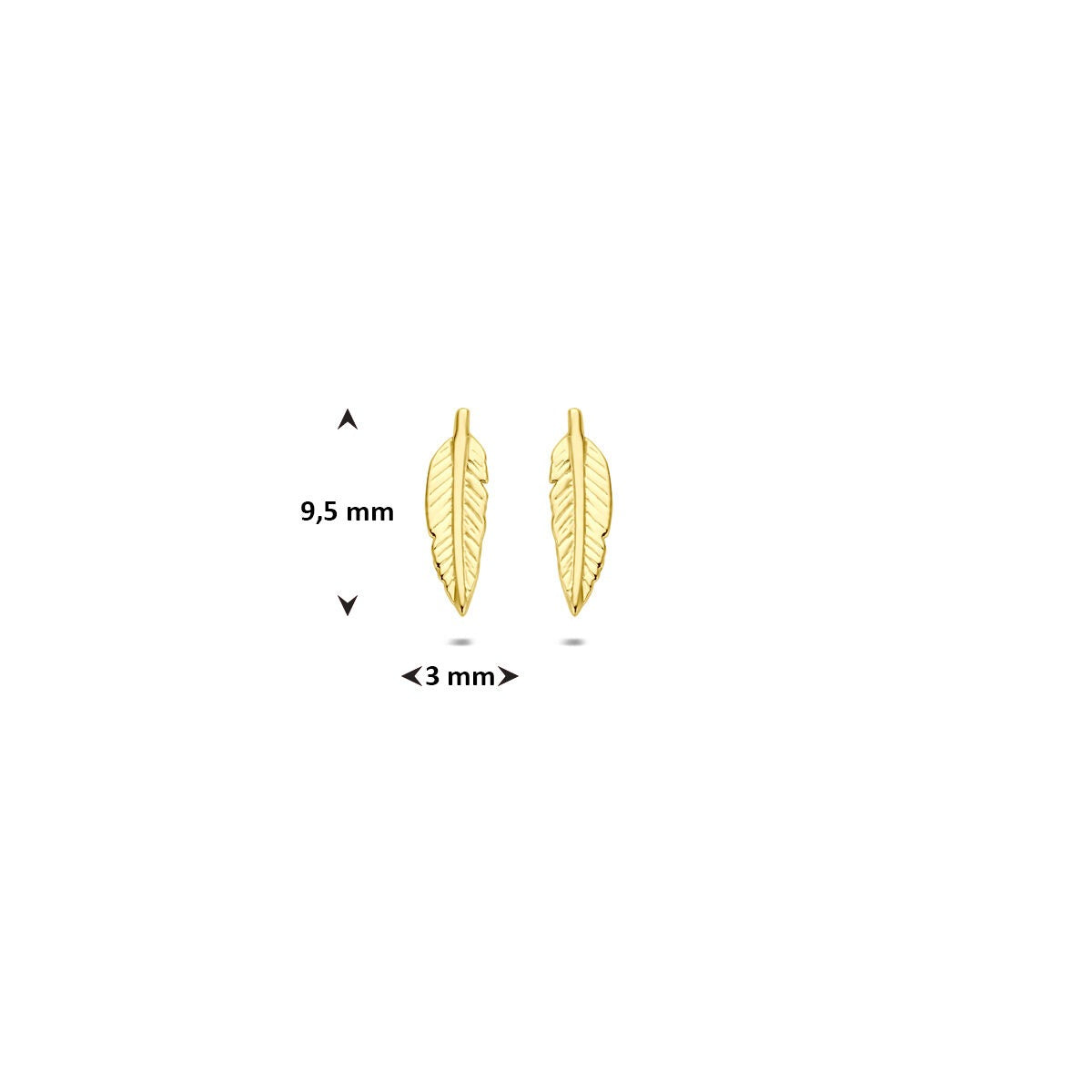 9K Ohrstecker aus Gelbgold in Federform