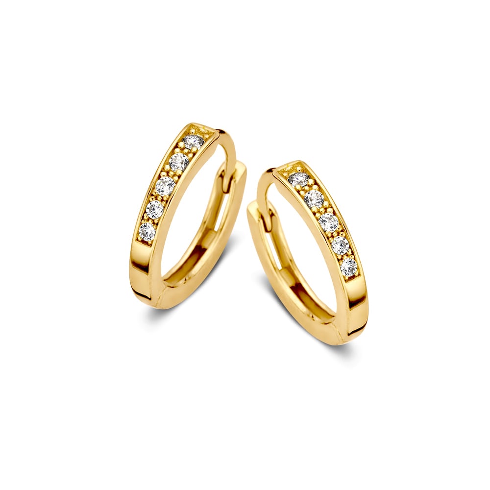Gelbgoldene Ohrhänger mit Zirkonia, schlichte Eleganz, rundes Design, fünf funkelnde Steine