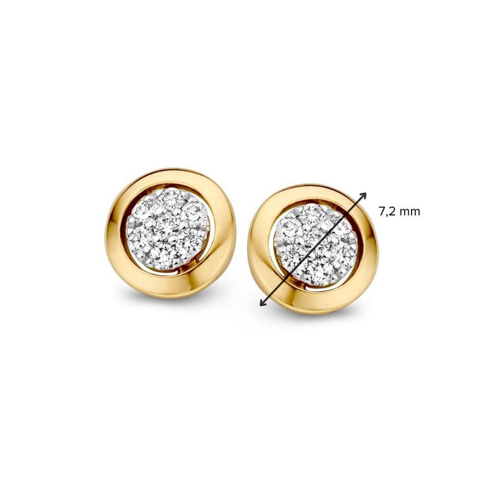 14 Karaat Bicolor Gouden Oorstekers met Diamant - 0,14 crt Briljant