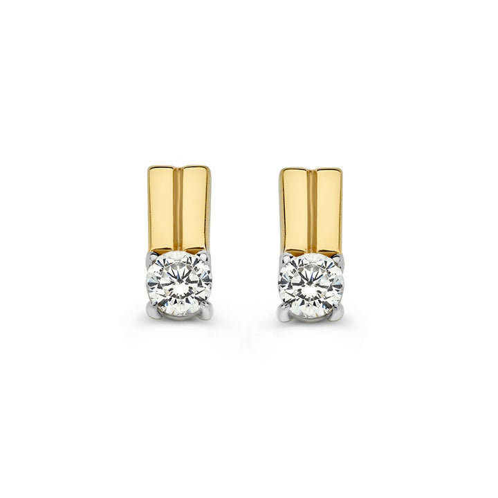Bicolor Wit- en Geelgouden Oorstekers met Zirkonia – Strak Design, 14 Karaat