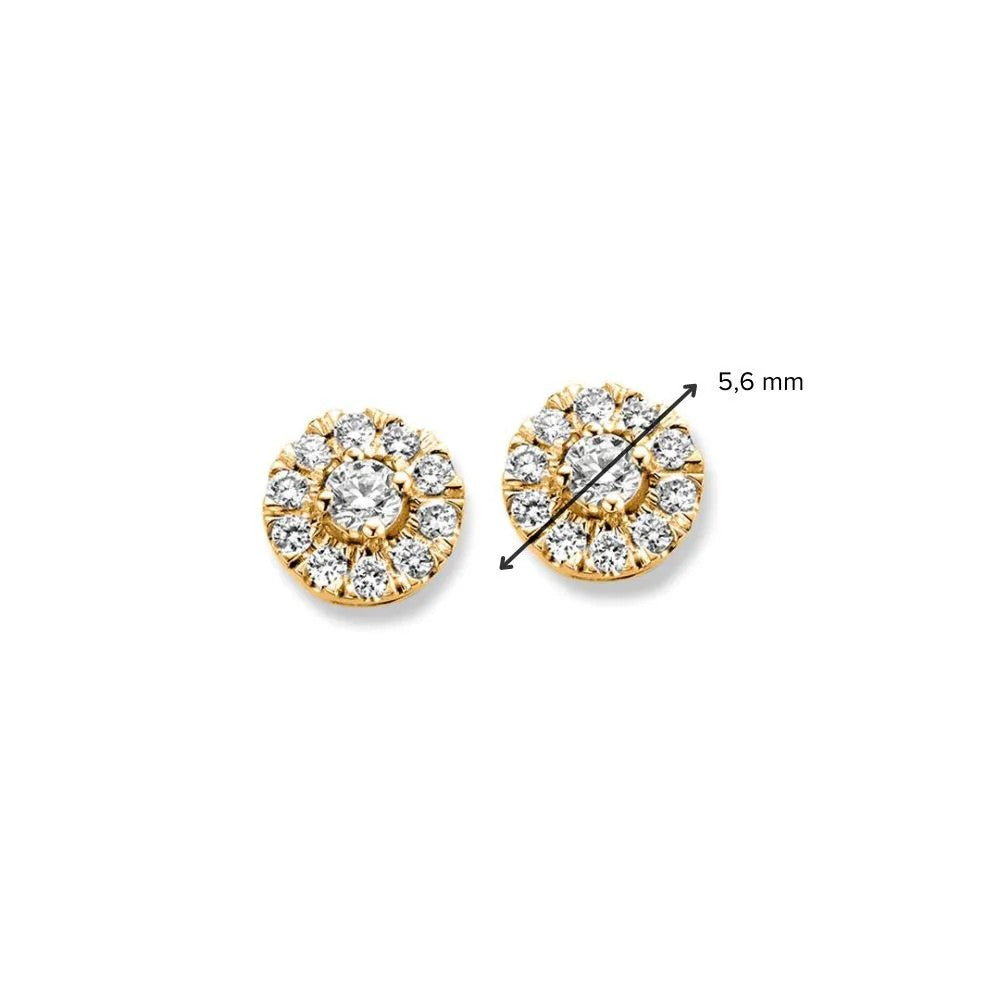 Ohrstecker Emma 0,20 kt. Gelbgold