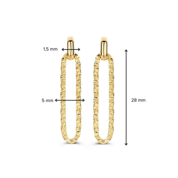 Geelgouden Oorhangers met Bewerkte Paperclip Schakel in 14 Karaat Goud