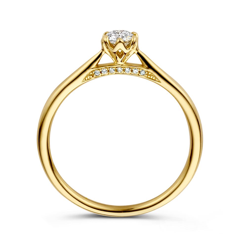 Wunderschöner Solitärring aus Gelbgold mit brillantem Mittelstein und feinen Diamanten 0,26 kt.
