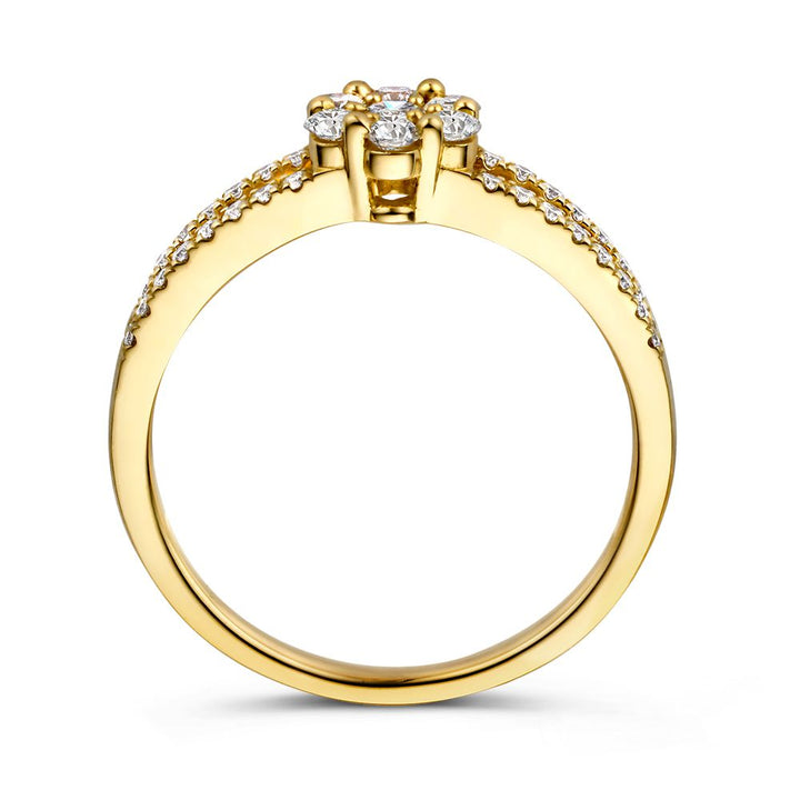 Bijzondere Geelgouden Entourage Ring met Briljanten – 14 Karaat 0.55 crt.